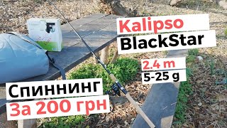Обзор Спиннинга Kalipso BlackStar BSS 802M 2,4 m 5-25 g