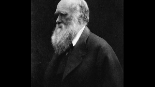 But Bruh, Evolution is Just a Theory...Happy Darwin Day! (THE SAAD TRUTH_368)
