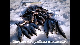 #гостевой_дом#Попов-порог Отличная рыбалка. Апрель. На реке  Сиг и плотва, #егерские_услуги