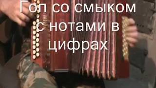 Гоп со смыком с нотами в цифрах