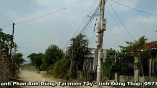 [#3] Chất lượng keo bẫy chim sẻ giữa trời trưa nắng - liên hệ anh Phan Anh Dũng - ĐT: 0986. 85 85 84