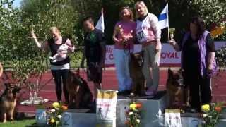 Финский Зигер 2015 награждение L + 1 237 AURUM AGLIS Strogoff 4020521