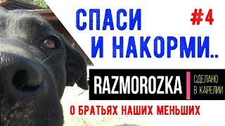 СПАСИ И НАКОРМИ