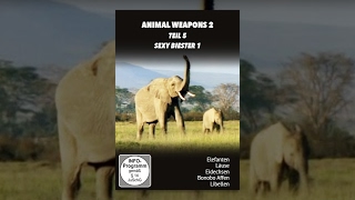 Animal Weapons 2 - Sexy Biester 1