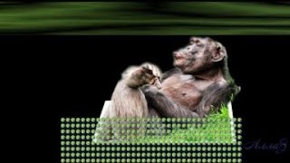 ProShow Producer Free Styles. Текстовые маски