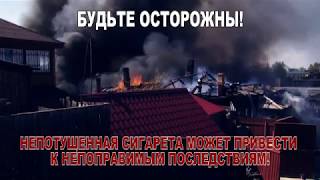 Правила  пожарной  безопасности  в лесах.