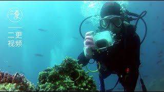 她中了大海的毒，每次深潜都是一次解毒 | 二更