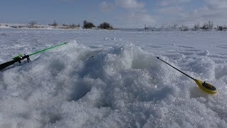 ОТЕЦ ПОПАЛ НА ХОД ЛЕЩА! Зимняя рыбалка 2019