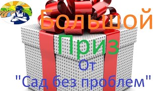 Дарим 1000 грн на саженцы хурмы.