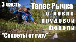 "Секреты от гуру", ч3. Т. Рычка о ловле прудовой форели. Лучшие приманки SV Fishing для area fishing