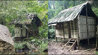 Six months of survival in the tropical rainforest