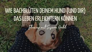 Podcast #18:  Wie Bachblüten deinem Hund und dir das Leben erleichtern können -  Susanne Oertel