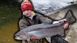 FLOAT FISHING GIANT STEELHEAD - DOWN TOWN