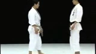 Karate Shotokan - Técnicas de Chute