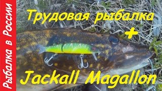 Щука 5.2 кг. на Jackall Magallon .Китайский воблер на щуку с AliExpress .