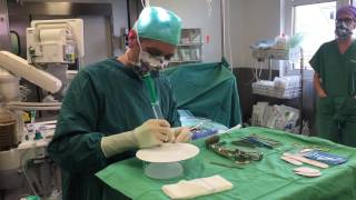 Brustvergrößerung mit Implantaten -  Senkung des Risikos einer Kapselfibrose von Dr. Roland Resch