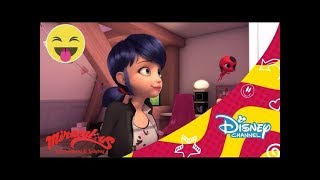Las aventuras de Ladybug: Adelanto exclusivo - Ruiseñoble | Disney Channel Oficial