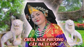Hầu đồng tiệc Chúa Năm Phương - tiên nữ giáng trần, quyền cai ngũ phương trời đất.