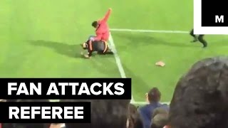 Enraged Soccer Fan Brutally Attacks Referee in the Middle of the Game