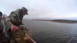 Снимаем сети на коропа ячея 110, 200 метров, Норвежская Леска  fishing with nets.
