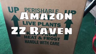 Amazon Plant Haul Unboxing Costa Farms ZZ Raven Plant Tropical Houseplant Review