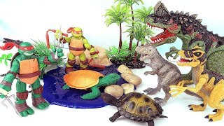 Dinosaurs VS. Ninja Turtles! Dinosaurs Appeared in Turtle Village~ Fun Toys Video For Kids.