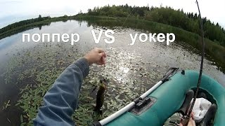Поппер VS уокер: это праздник какой-то (видео-отчет) рыбалка сентябрь 2015 Ловля щуки на поппер