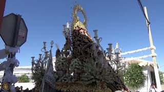 La Virgen de los Desamparados | Virgen del Rosario (Carrión de los Céspedes) 2019