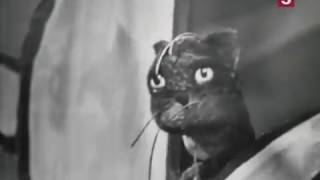 Кот Василий рассказывает сказку
