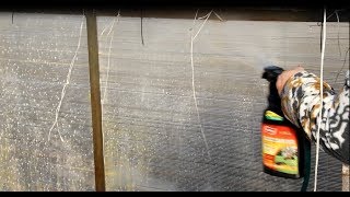 ЭКСПРЕСС способ ОБРАБОТКИ ТЕПЛИЦЫ весной ПЕРЕД ПОСАДКОЙ.