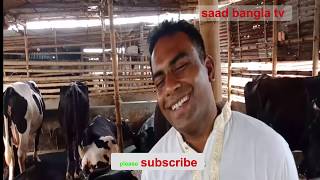 জীবনের কষ্টের সময় পার করে সুখের সময় কেন তার কষ্ট শুনবো তার জীবন যুদ্ধের কথা। Cow farm
