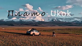 Горный Алтай 4K Плато Укок Актру Поездка на Mitsubishi L200 и Эндуро