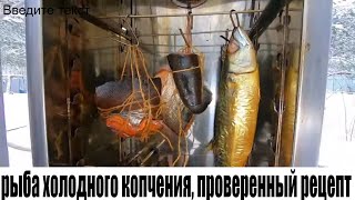 рыба холодного копчения, проверенный рецепт скумбрия холодного копчения