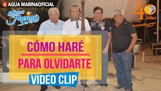 Agua Marina - Como Haré Para Olvidarte ( Video Oficial 2016 )