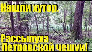 Нашли хутор.Рассыпуха Петровской чешуи.Коп 2019.
