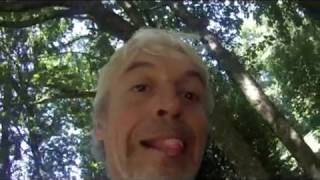 Detection 1 - Dans notre jardin