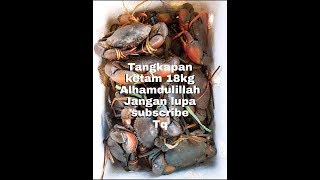 Ketam besar masuk bento 5 ekor Dan Hasil yg Lumayan 18kg