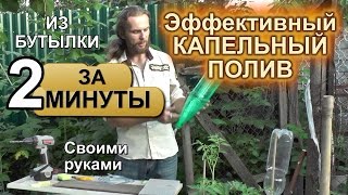 Капельный полив из пластиковой бутылки своими руками за 2 минуты