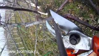 Секаторы LOWE 8 серия
