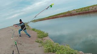 3-4 сентября. Великолепная семерка. Сазаны, караси. Рыбалка на канале 2019.