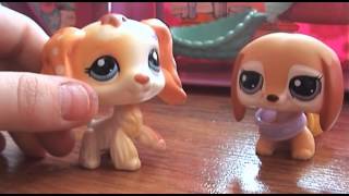 Littlest Pet Shop Miłość jest jak magia część III
