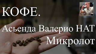 Кофе. Коста-Рика Асьенда Валерио НАТ - микролот