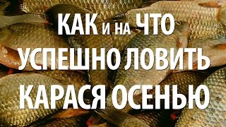 КАК ЛОВИТЬ КАРАСЯ ОСЕНЬЮ. ЛОВЛЯ КАРАСЯ на ПОПЛАВОЧНУЮ УДОЧКУ в ОКТЯБРЕ НОЯБРЕ
