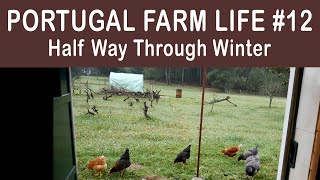 Portugal Farm Life -12 - Half way through Portugal's winter!