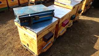 Первое расширение, почтовые весы, пахота, посев