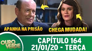 Ouro Verde 21/01/20 (21 de Janeiro) Terça-Feira (Capítulo 164) Resumo Completo