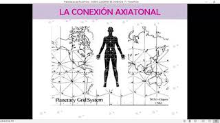 LA NUEVA RECONEXIÓN, EL VEHÍCULO PARA LA ASCENSIÓN
