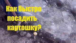 Ручная самодельная чудо-сажалка для картофеля.