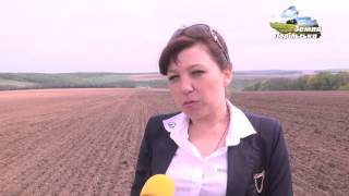 Обробка насіння ОМД "ДоброДІЙ" ПП "Бонас" 2016 рік