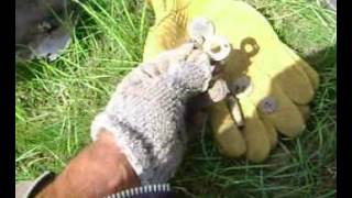 Сбор камрадов на копе. Видео обзор коп. Интересные находки.